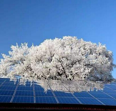 Wind level price Internet will leave a certain amount of time for technological innovation