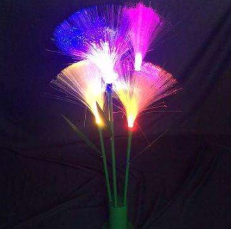 When a plant encounters lighting, what kind of spark will it hit?
