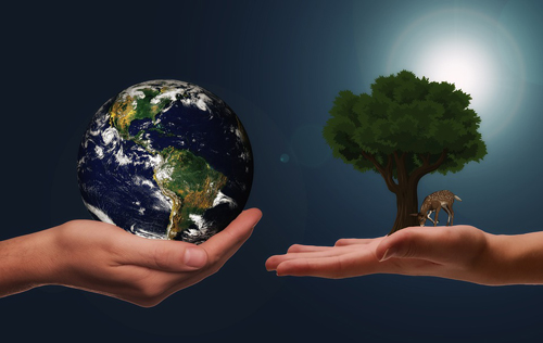 Renewable energy is expected to become the main body of energy consumption increase
